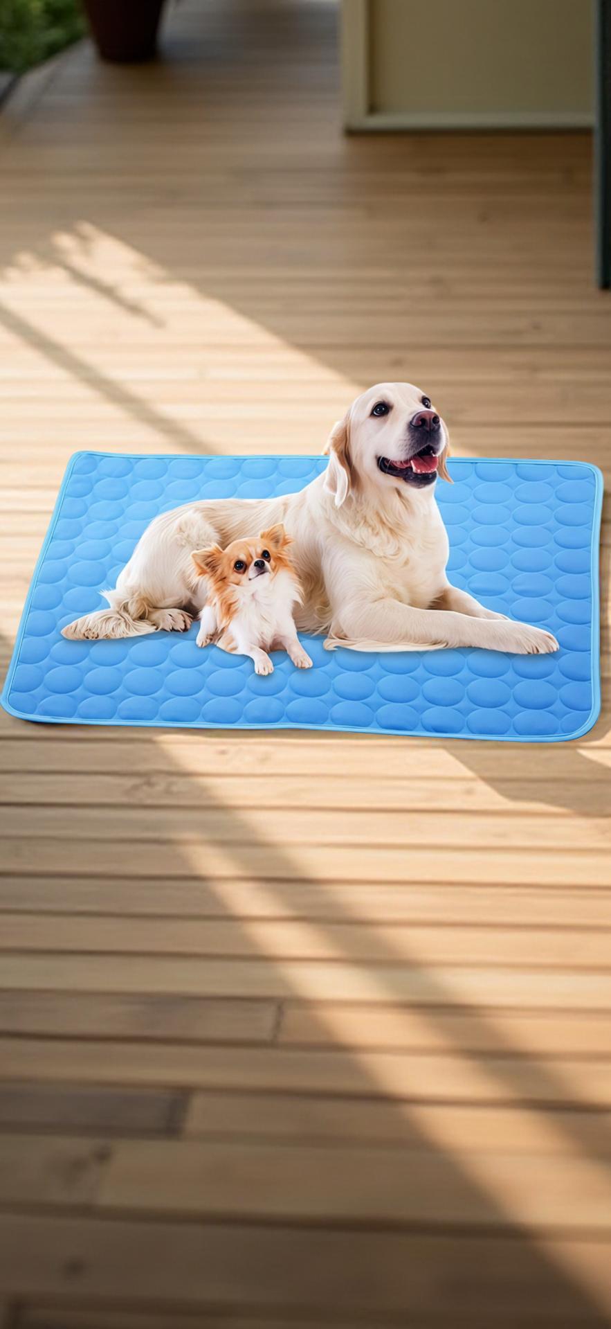 Tapis rafraîchissant pour chien et chat — Soie glacée, lavable